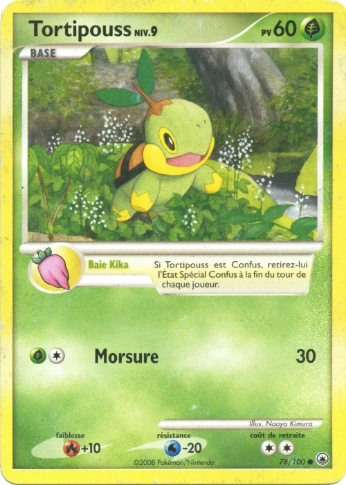 Tortipouss