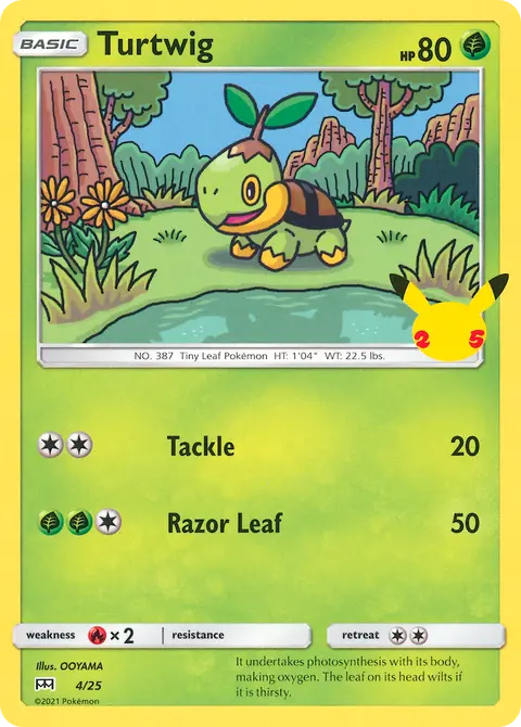 Tortipouss