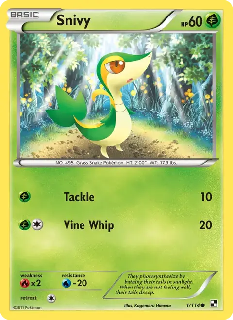 Vipélierre
