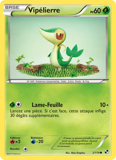 Vipélierre
