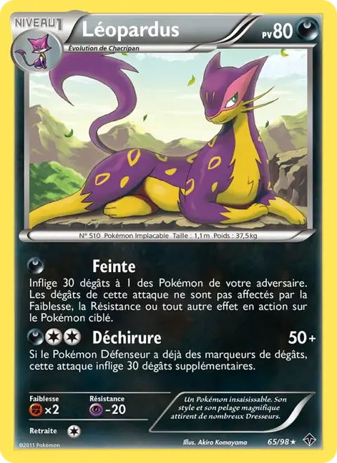 Léopardus