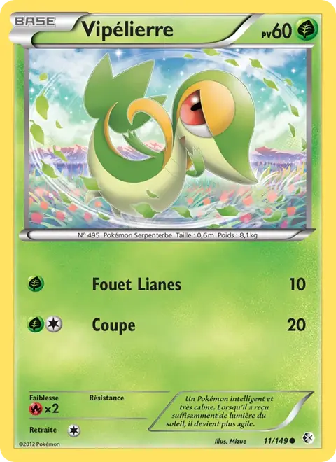 Vipélierre