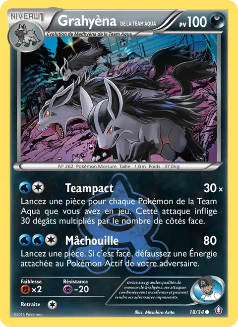 Grahyèna de la Team Aqua