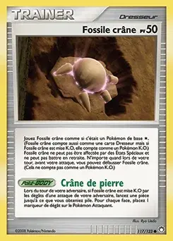 Fossile crâne