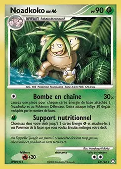 Noadkoko