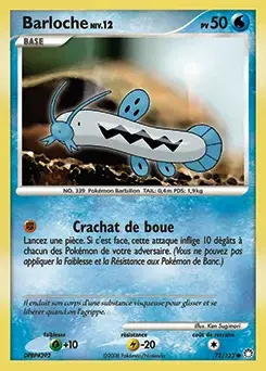 Barloche