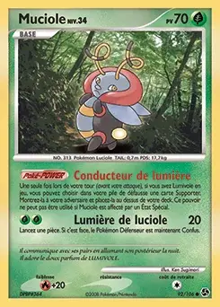 Muciole