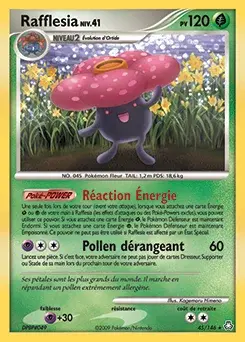 Rafflesia