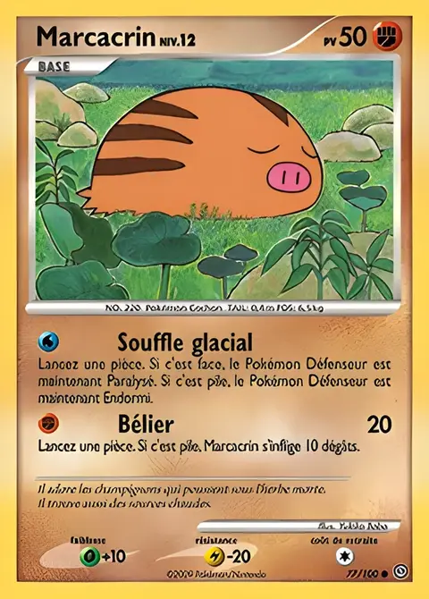 Marcacrin