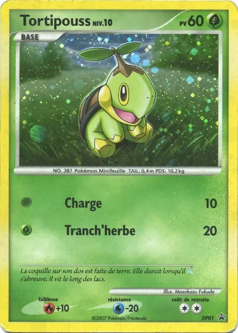 Tortipouss