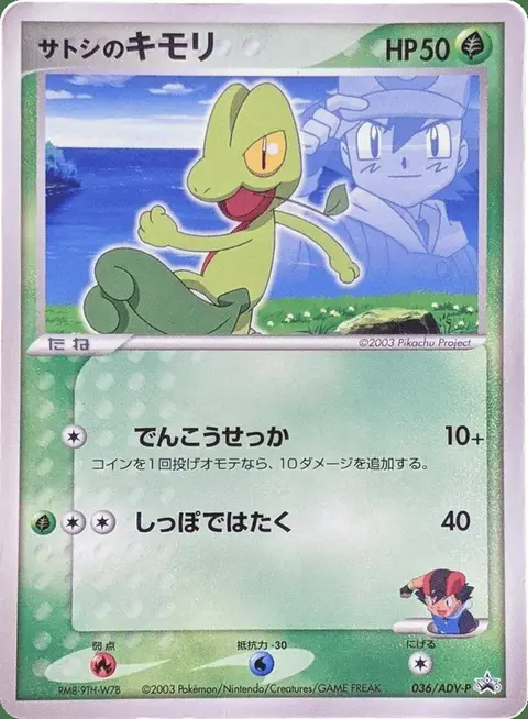 Ash’s Arcko