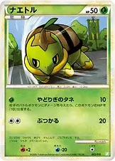 Tortipouss