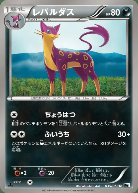 Léopardus