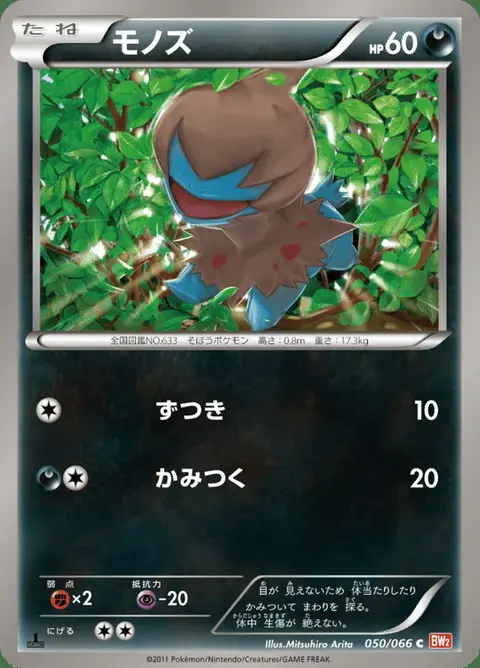 Solochi