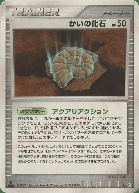 Fossile Nautile