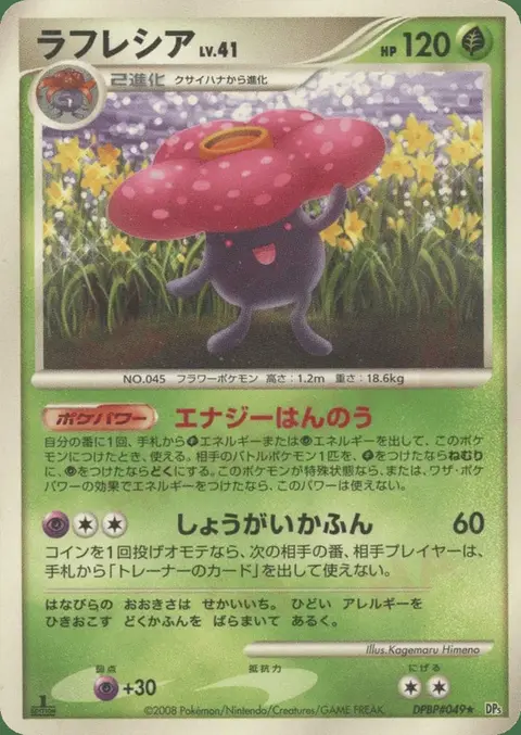 Rafflesia