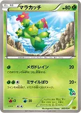 Maracachi