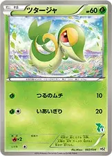 Vipélierre