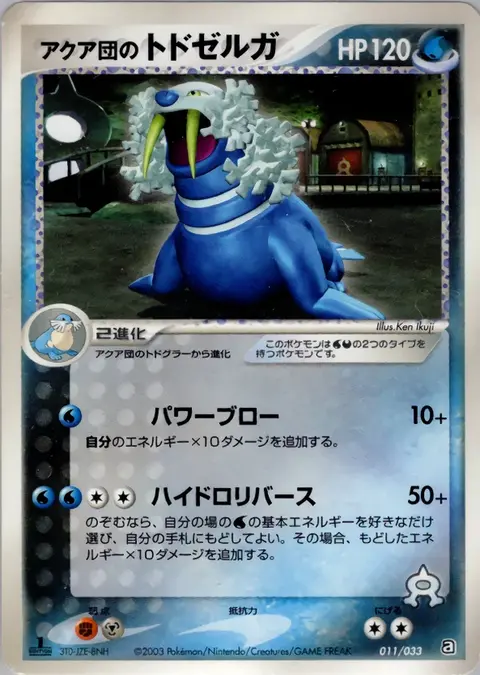 Team Aqua's Kaimorse