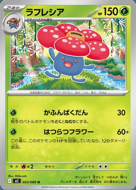 Rafflesia