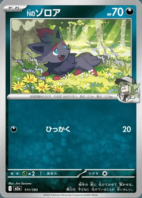 Zorua de N