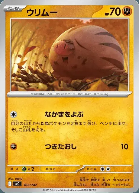 Marcacrin