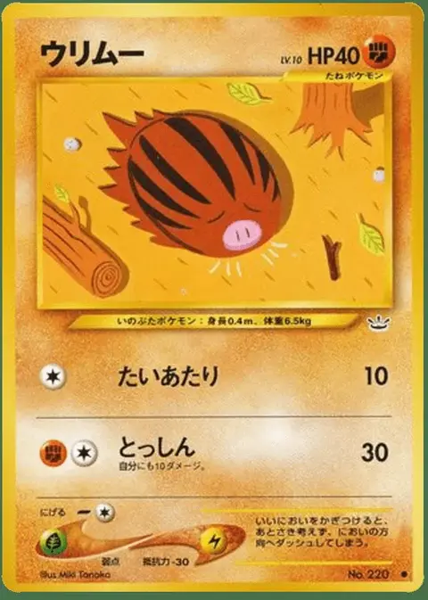 Marcacrin
