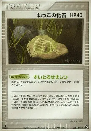 Fossile Racine