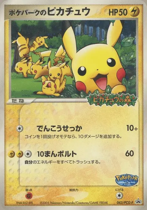 PokéPark’s Pikachu