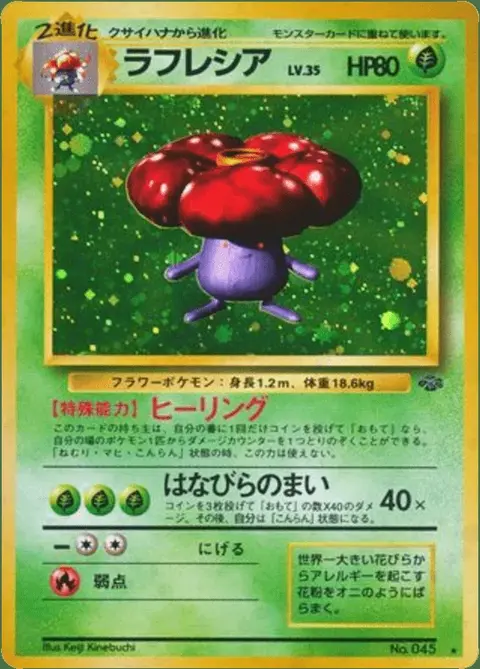 Rafflesia