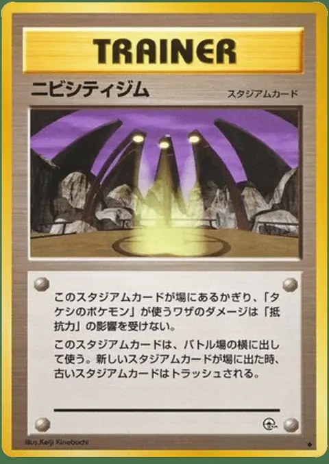 Pewter Sombreville Gym