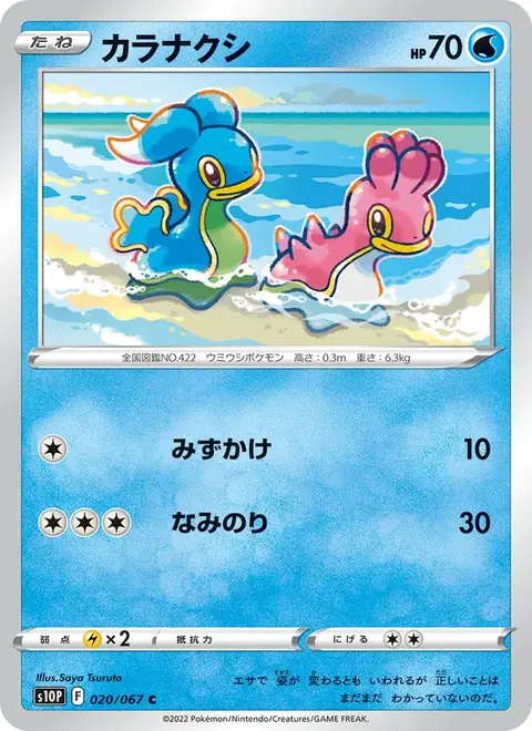 Sancoki