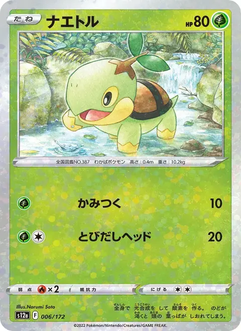 Tortipouss