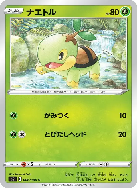 Tortipouss