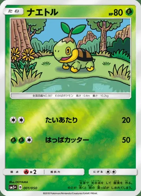 Tortipouss