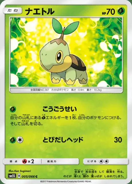 Tortipouss