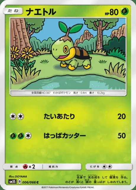 Tortipouss