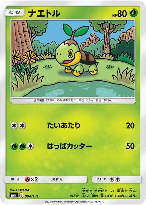 Tortipouss