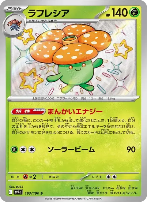 Rafflesia