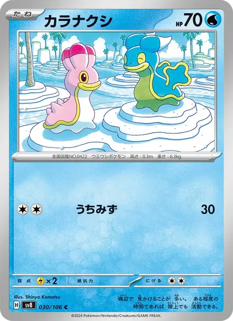 Sancoki