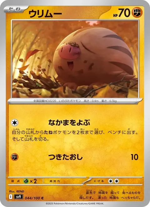Marcacrin