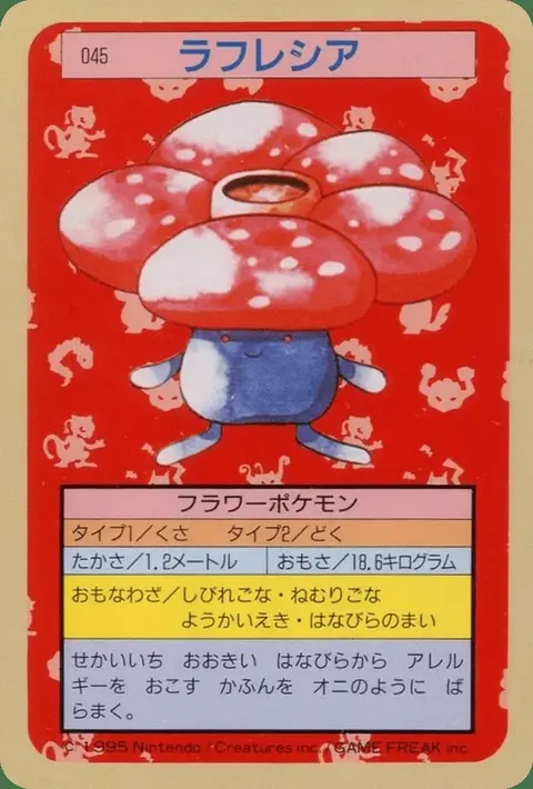 Rafflesia