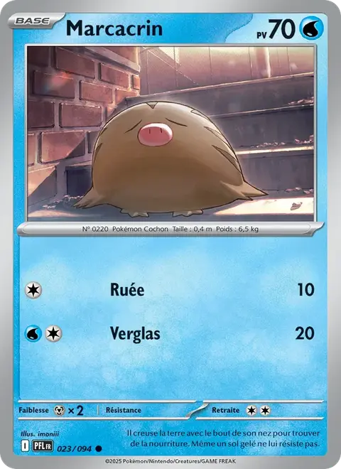Marcacrin