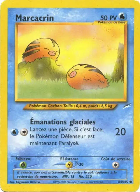 Marcacrin