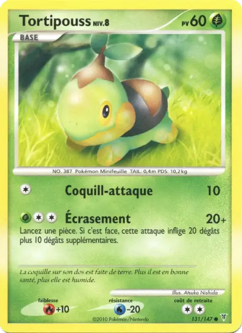 Tortipouss