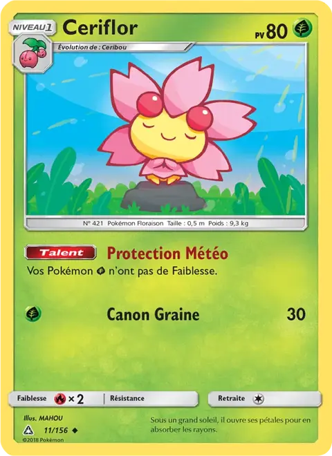 Ceriflor