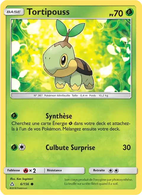 Tortipouss
