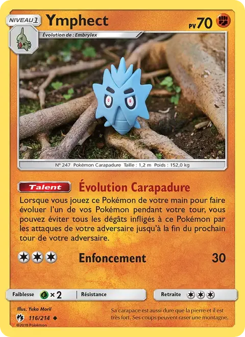 Ymphect