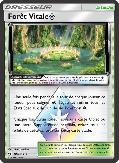 Forêt Vitale ◇