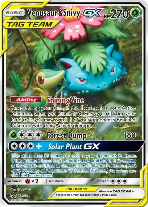 Florizarre et Vipélierre GX